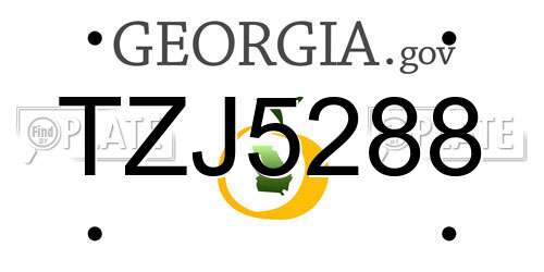 TZJ5288 Georgia License Plate