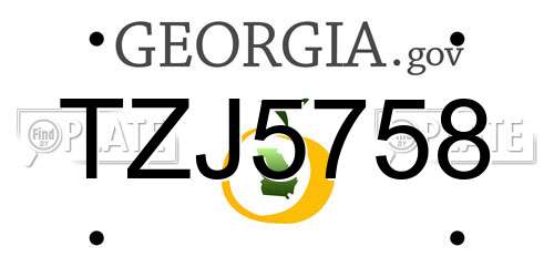 TZJ5758 Georgia License Plate