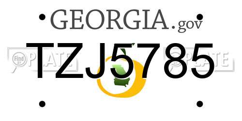 TZJ5785 Georgia License Plate