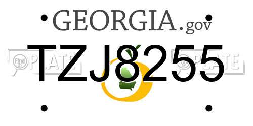 TZJ8255 Georgia License Plate