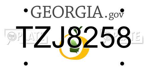 TZJ8258 Georgia License Plate