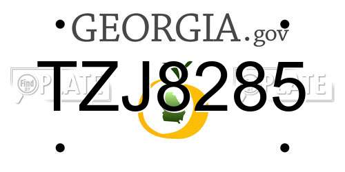 TZJ8285 Georgia License Plate