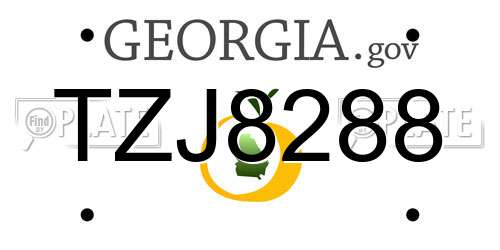 TZJ8288 Georgia License Plate