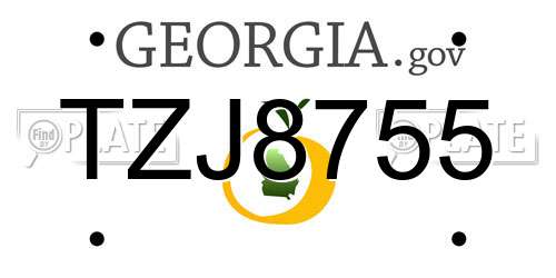 TZJ8755 Georgia License Plate