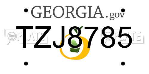 TZJ8785 Georgia License Plate