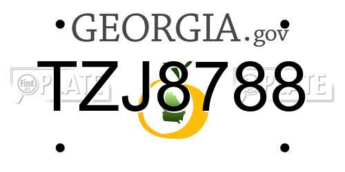 TZJ8788 Georgia License Plate