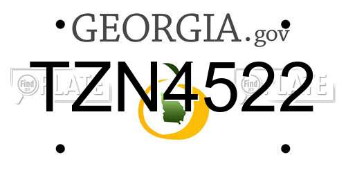 TZN4522 Georgia License Plate
