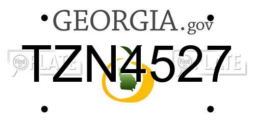 TZN4527 Georgia License Plate