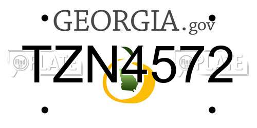 TZN4572 Georgia License Plate