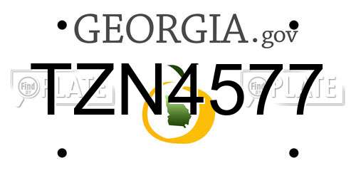 TZN4577 Georgia License Plate