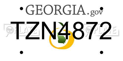 TZN4872 Georgia License Plate
