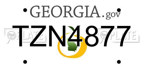 TZN4877 Georgia License Plate