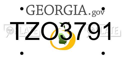 TZO3791 Georgia License Plate