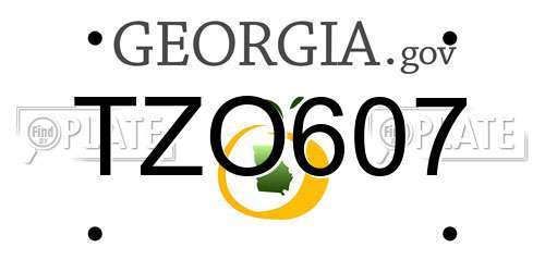 TZO607 Georgia License Plate
