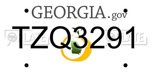 TZQ3291 Georgia License Plate