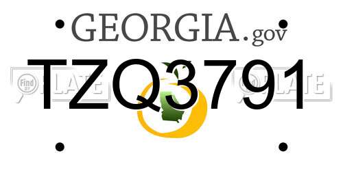 TZQ3791 Georgia License Plate