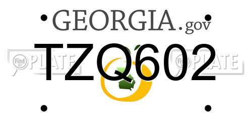 TZQ602 Georgia License Plate
