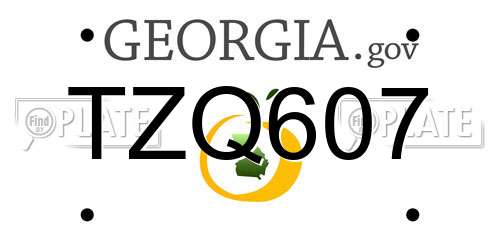 TZQ607 Georgia License Plate