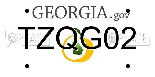TZQG02 Georgia License Plate