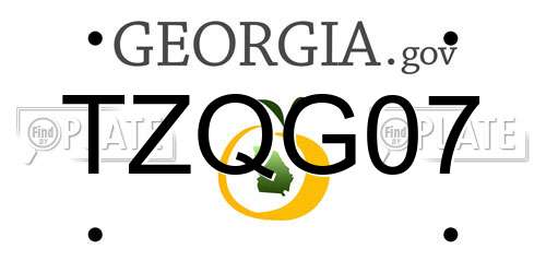 TZQG07 Georgia License Plate