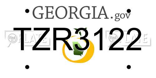 TZR3122 Georgia License Plate