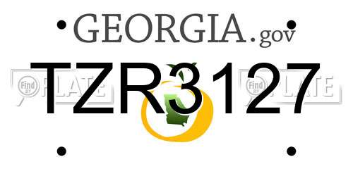 TZR3127 Georgia License Plate