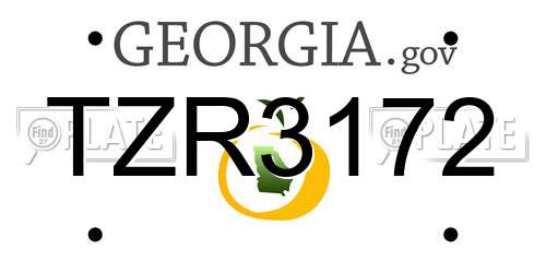 TZR3172 Georgia License Plate