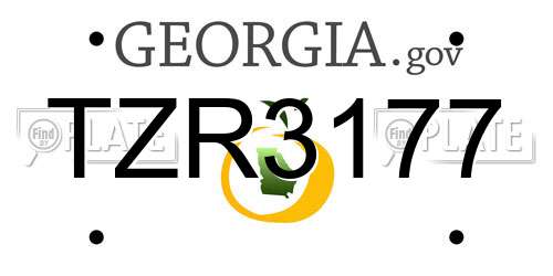 TZR3177 Georgia License Plate