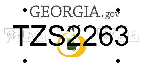 TZS2263 Georgia License Plate