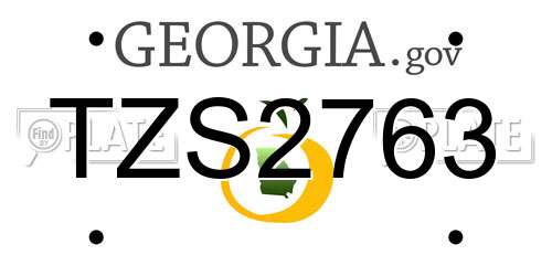 TZS2763 Georgia License Plate