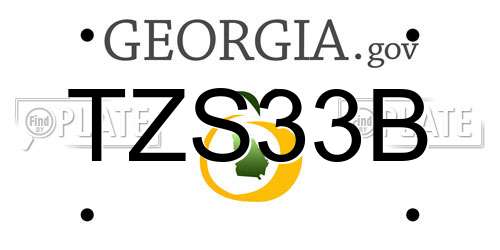 TZS33B Georgia License Plate