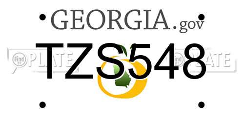 TZS548 Georgia License Plate