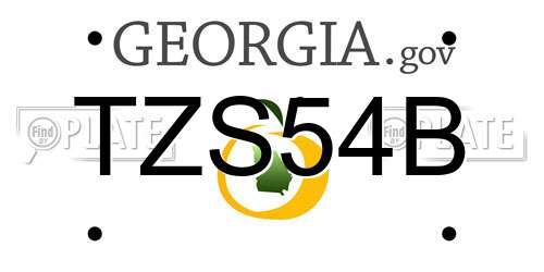 TZS54B Georgia License Plate