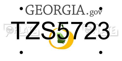 TZS5723 Georgia License Plate
