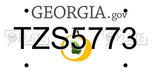 TZS5773 Georgia License Plate