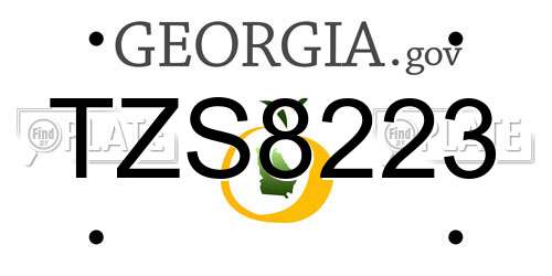 TZS8223 Georgia License Plate