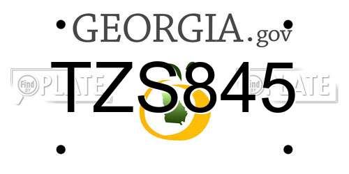 TZS845 Georgia License Plate