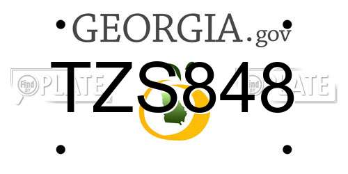 TZS848 Georgia License Plate