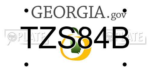 TZS84B Georgia License Plate