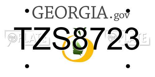 TZS8723 Georgia License Plate