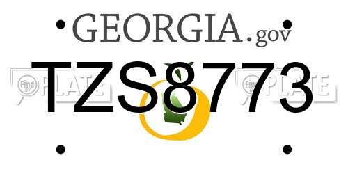 TZS8773 Georgia License Plate