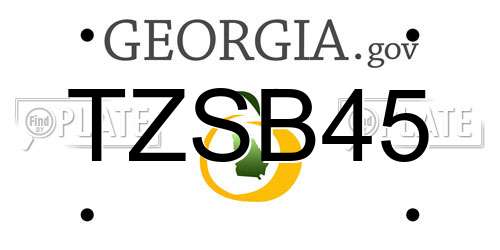 TZSB45 Georgia License Plate