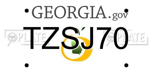 TZSJ70 Georgia License Plate