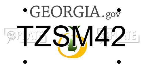 TZSM42 Georgia License Plate