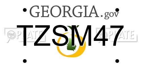TZSM47 Georgia License Plate