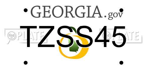 TZSS45 Georgia License Plate