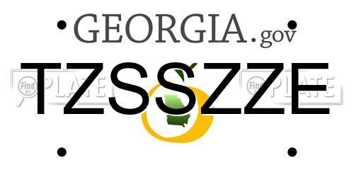 TZSSZZE Georgia License Plate
