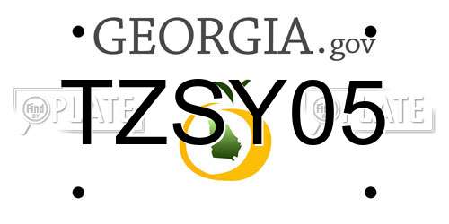 TZSY05 Georgia License Plate