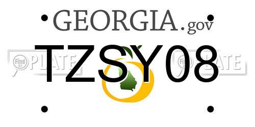 TZSY08 Georgia License Plate