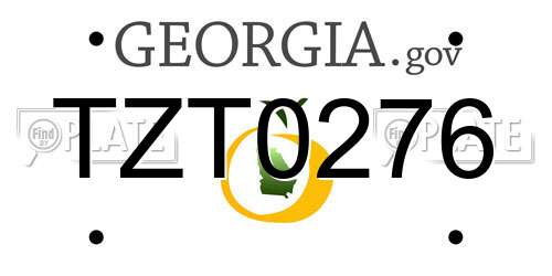 TZT0276 Georgia License Plate
